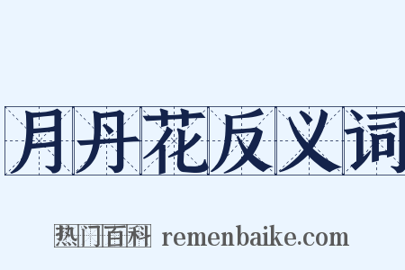 月丹花反义词是什么意思的图片